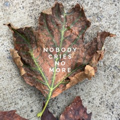 Nobody Cries No More
