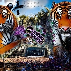 Tiger Territory - Sabre Sound(Original)