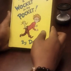 wocket in my pocket