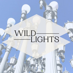 Wild Lights