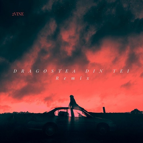 O-Zone - Dragostea Din Tei (2VINE EDIT) [FREE DL]
