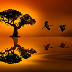 2zero2three  "this is a journey....into dreams"