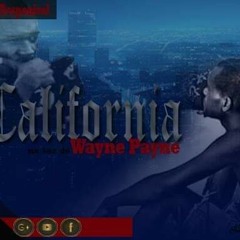 CALIFORNIA- WAYNE PAYNE (HIGH QUALIT)