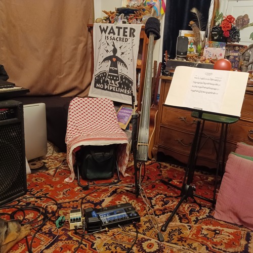 F'n Bach'n C by Ken Becker Self-Taught Master Cellist & Luthier