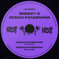 Ocean Panorama (4 A​.​M. Mix)