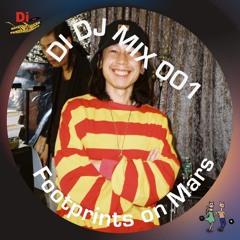 DI DJ Set