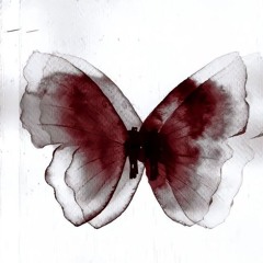 Motion