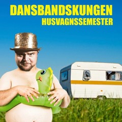 Sup Dig Snygg Strög Remix