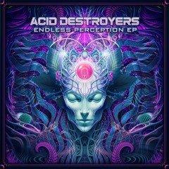 Acid Destroyers - Endless Perception Ep - Preview - Out Now