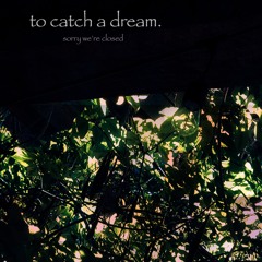 to catch a dream.