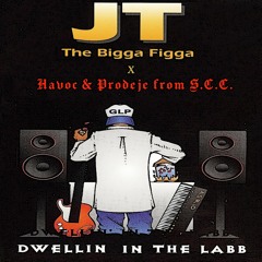 JT The Bigga Figga - Dwellin' in the lab where I Puts it Down Blend (JT X Havoc & Prodeje)