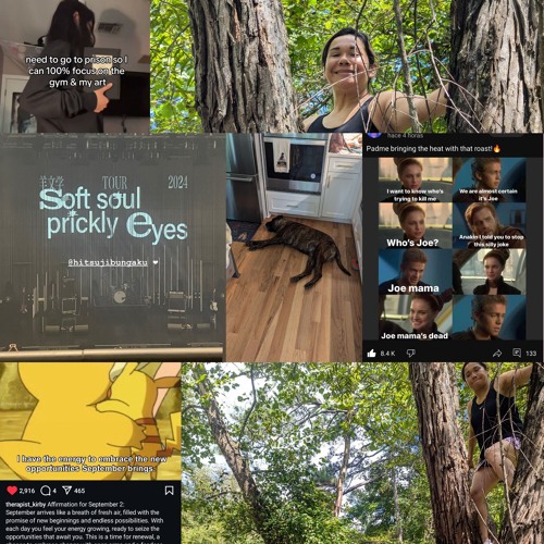 they ned to do a Boiler Rom 9 2 24 i wanAna Table Jamv2