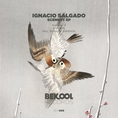 Ignacio Salgado - Scenery (Original Mix)