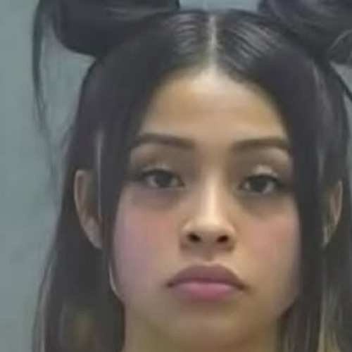 GUAPANESE FREESTYLE (prod. danielmadethis)