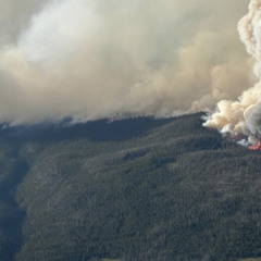 In to the fire