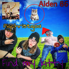 @pigchristgod - find my kitty ft aiden 86