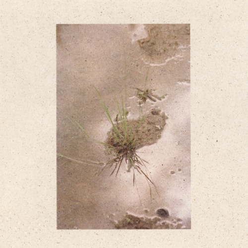 Liis Ring - after-image I: nothing stands still