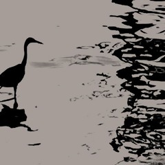 Peking Spring w/ Jon K 150525