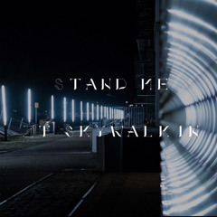 ZT SKYWALKIN-StandMe