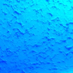 BLUE TINT(prod.grysz)