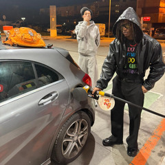 TUBARÕES NAO COMEM HUMANOS