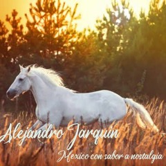 Alejandro Jarquin - Como yo te ame.mp3