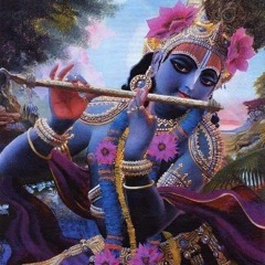 S Bhāgavatam #23 - Canto 1 - Cap 14 - O Desaparecimento do Senhor Krishna (só versos) #23