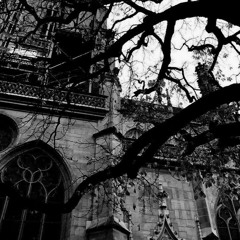 PAIN IS ALRIGHT *I'LL BE FINE* (prod. foreless)