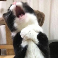 track VIII : Mot Long Mot Da Yeu Ai Do Qua Kho Phai Khong remix  Ft ĐạtYuro