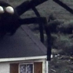 FEEL LIKE SHIT // TYRELLSKRT COVER