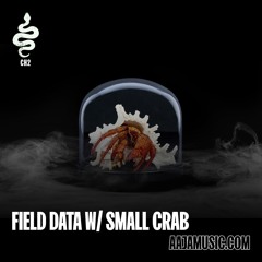 Field Data - with Field Motion and Small Crab (17/01/25)