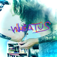 wheatus