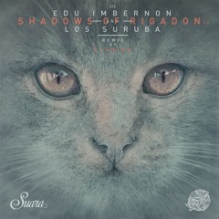 Shadows of Rigadon (Clarian 'Red Ocean' Remix)