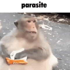 gold-parasite-2