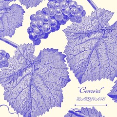 "CONCORD"