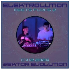 Elektrolution// TechMilla b2b jännis// Synthese X Fuchs2
