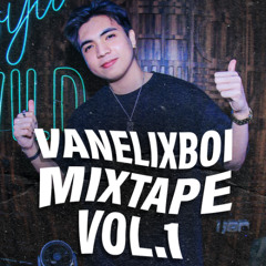Vanelix Boi Mixtape Vol. 1 [EDM x IndoBounce]