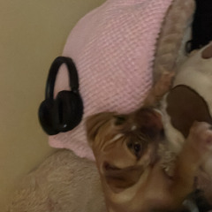 sorry im not perfect (demo)