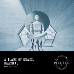 A Blade Of Grass, Baasmal - Vision Trouble [WELTER141LP]