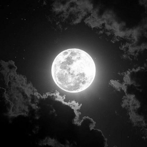 High up (p. stellxr beats)