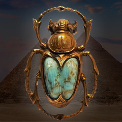Dung Beetle