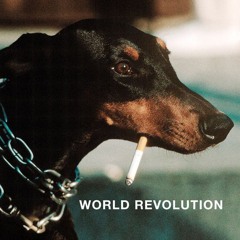 WORLD REEEVOLUTION