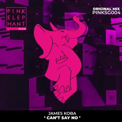 SG 004 / James Koba - Can't Say No (Original Mix)