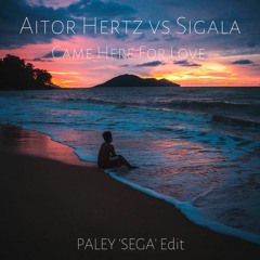 Aitor Hertz vs Sigala - Came Here For Love (PALEY 'SEGA' Edit)