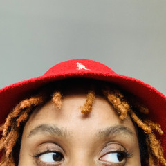 Self Control (frank cover)