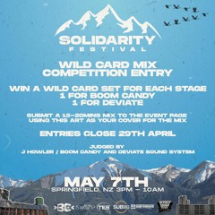 Wildstorm - Solidarity Festival Wildcard Mix 2022