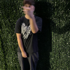 il rotesc (prod. Te0 x ayo.desire)