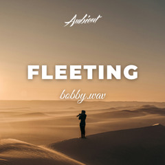 bobby.wav - fleeting
