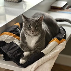 Jenson’s Theme (May 24th, 2025 Demo)