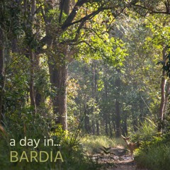 A Day in Bardia - Bardia National Park, Nepal: Album Sample